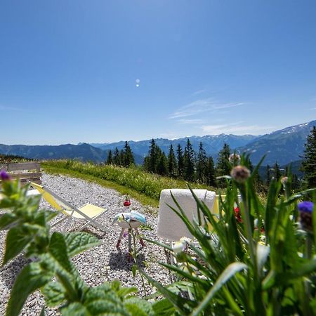 Schmiedhof Alm Ξενοδοχείο Τσελ αμ Ζέε Εξωτερικό φωτογραφία
