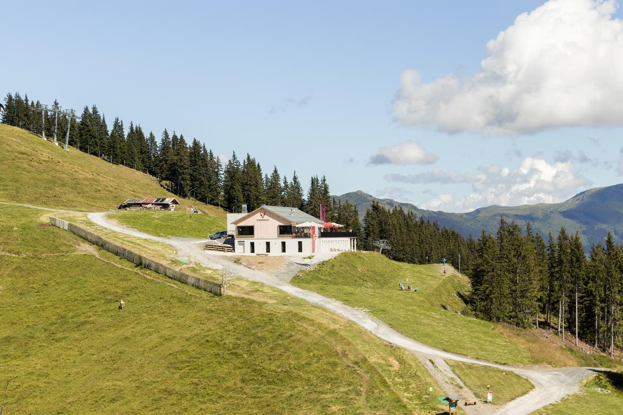 Schmiedhof Alm Ξενοδοχείο Τσελ αμ Ζέε Εξωτερικό φωτογραφία