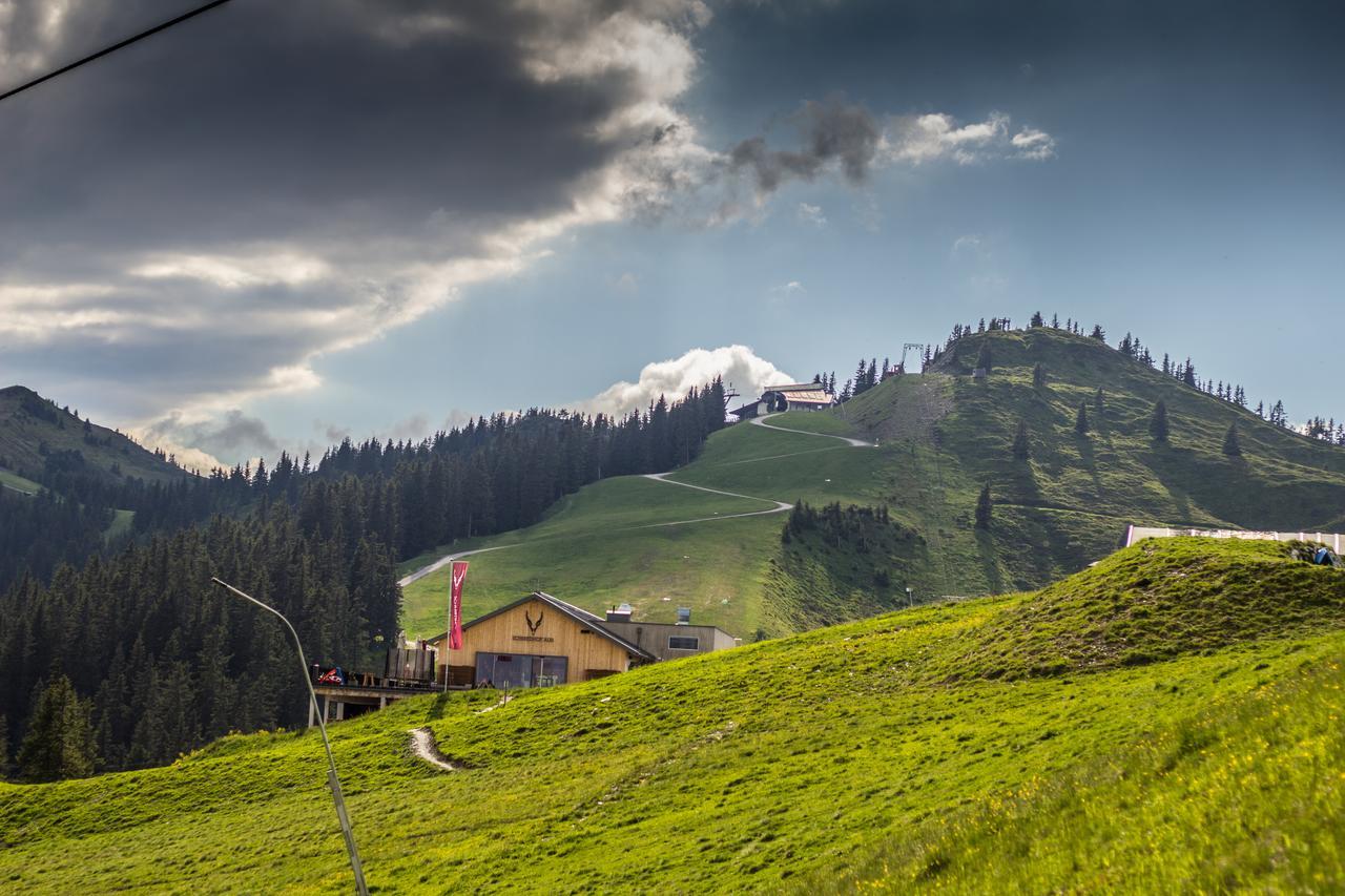 Schmiedhof Alm Ξενοδοχείο Τσελ αμ Ζέε Εξωτερικό φωτογραφία